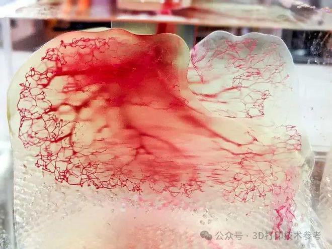 3D打印技术深刻影响社会发展进程发明者当选美国国家工程院院士kaiyunAPP(图5)